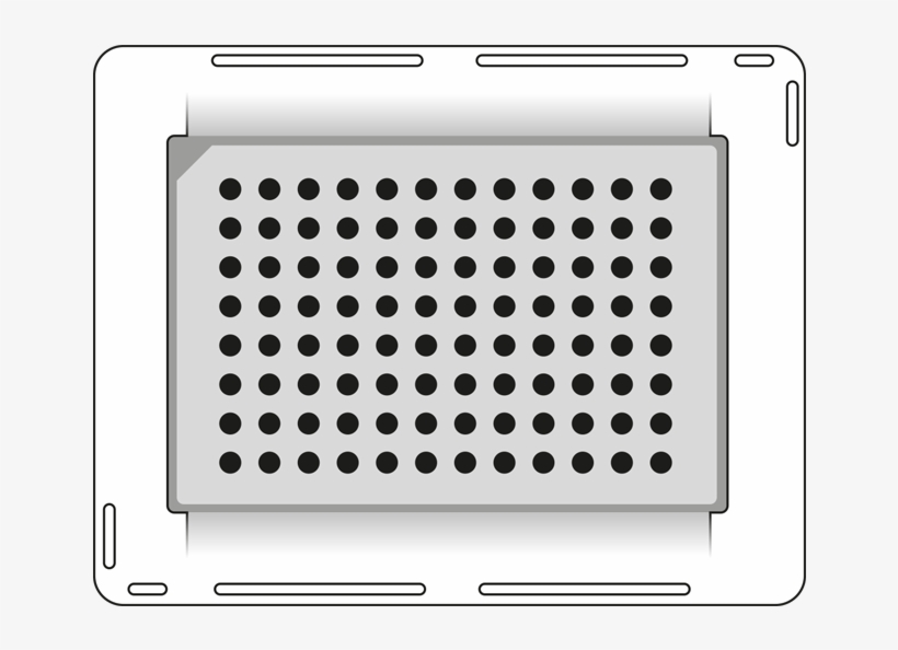 Domino, transparent png