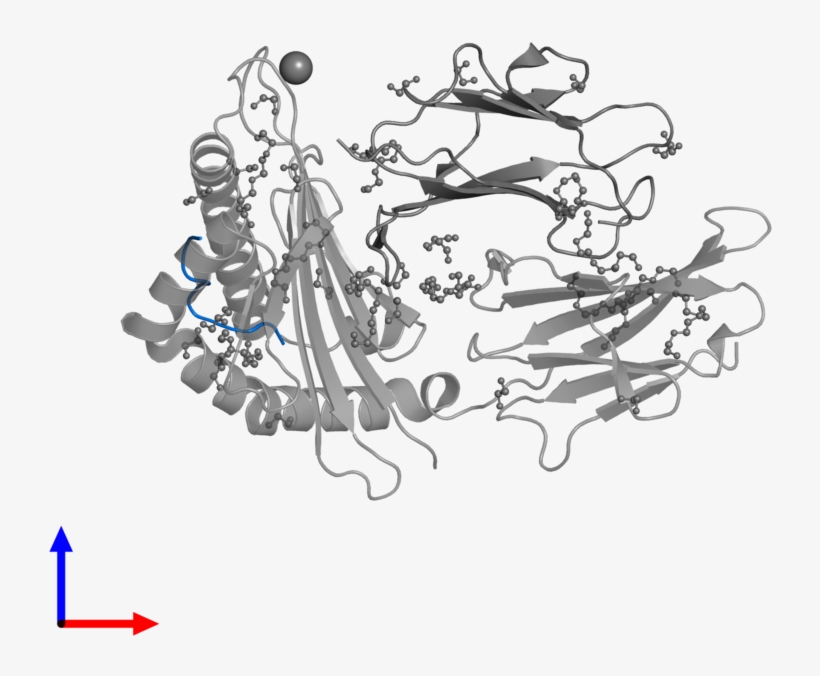 <div Class='caption-body'>pdb Entry 5c0e Contains 1, transparent png