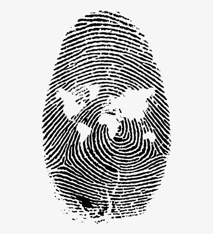 Free Photos Search Download Needpix Com, transparent png