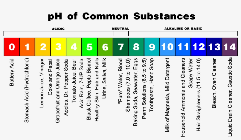 Permaculture Tip Of The Day The P, transparent png