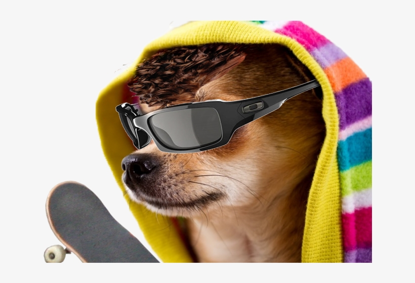 Cool Dog, transparent png