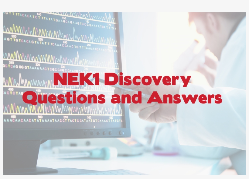 Questions And Answers, transparent png