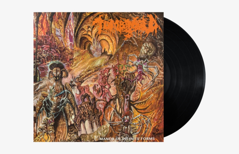 Manor Of Infinite Forms Vinyl Lp, transparent png