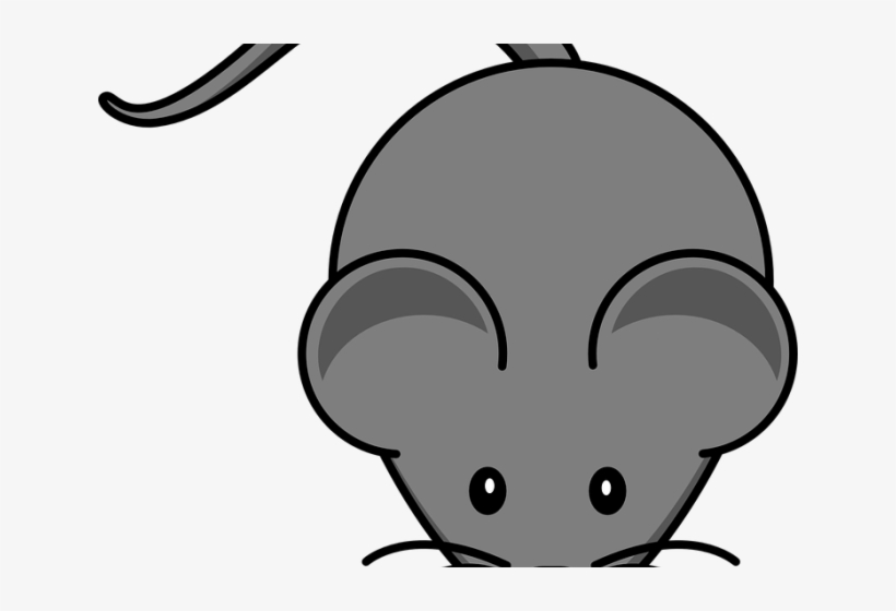 Rodent Clipart Raton, transparent png