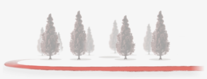 Tree Background, transparent png
