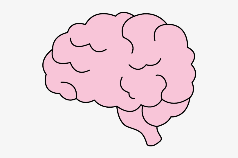Brain, transparent png