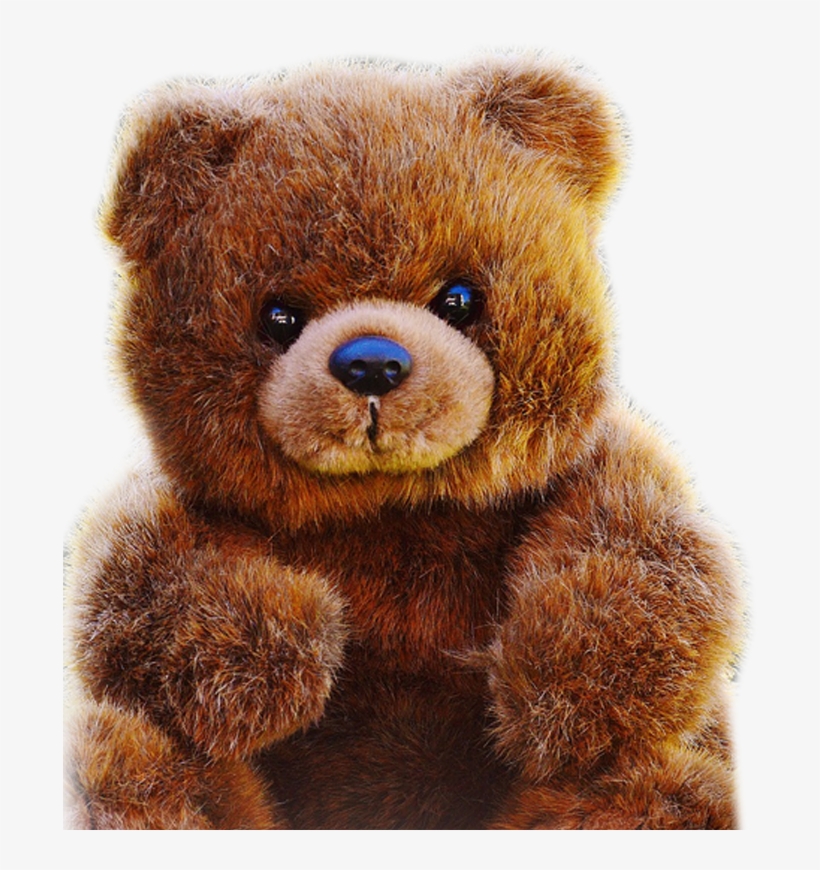 Teddy Roosevelt Png, transparent png