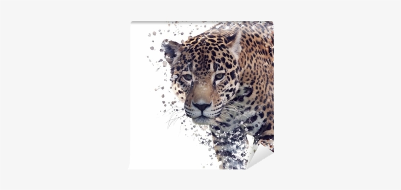 Portrait, transparent png