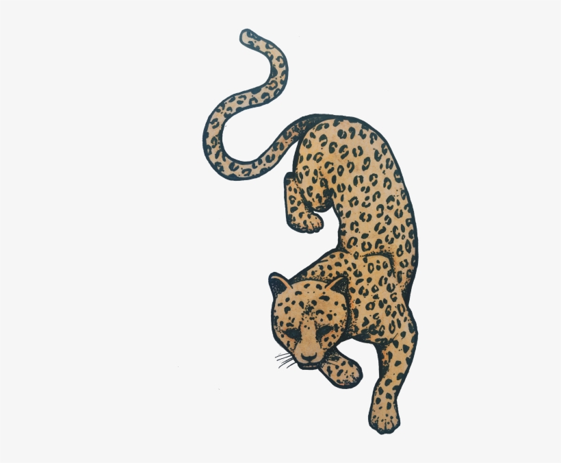 Leopard - African Leopard, transparent png