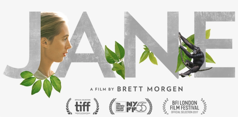 Review Of "suburbicon" - Jane Documentary, transparent png