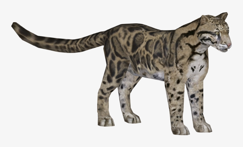 Leopard Clouded - Download Clouded Leopard Zoo Tycoon 2, transparent png