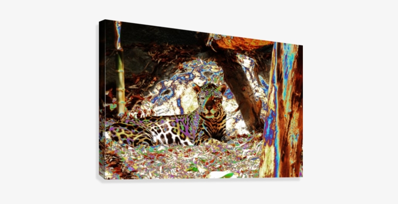 Leopard Resting - Modern Art, transparent png