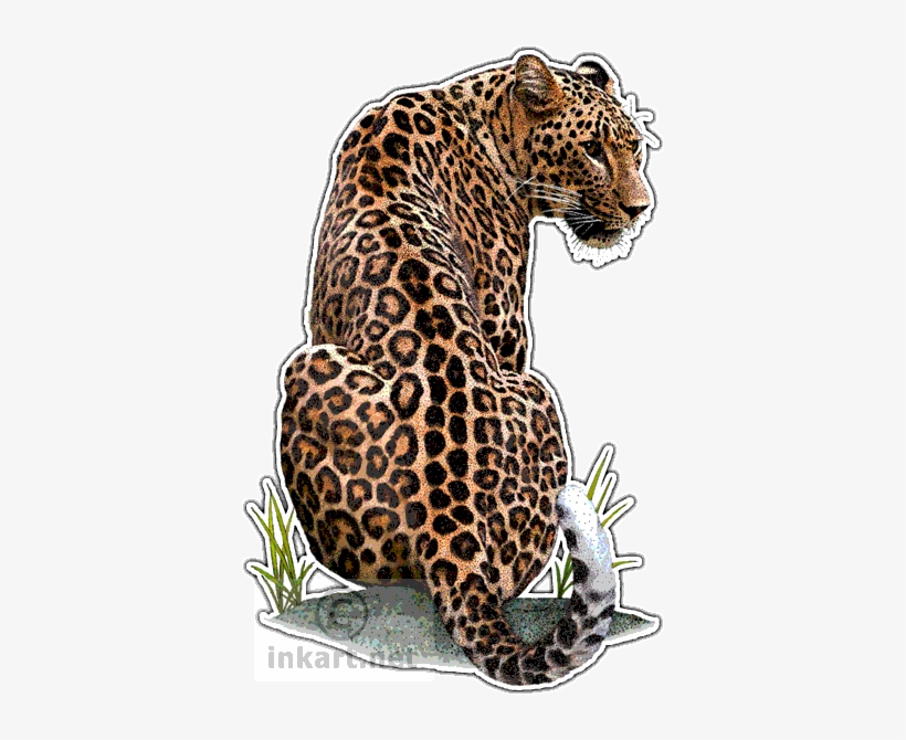 Persian Leopard Decal - Persian Leopard Throw Blanket, transparent png