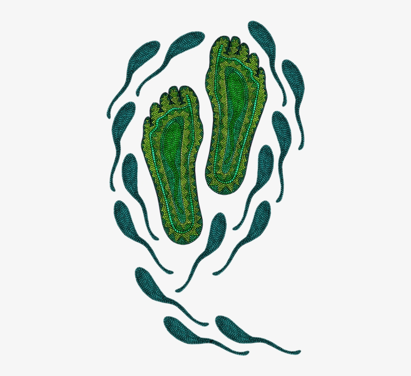Bleed Area May Not Be Visible - Indigenous Australians, transparent png