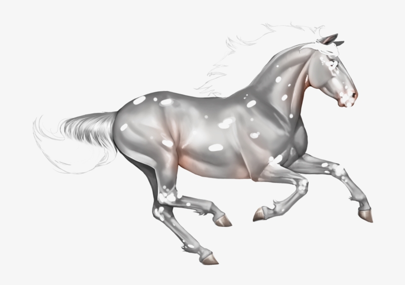 Leopard - Zazzle Horse Ring, Sterling Silver Ring With Horse,, transparent png