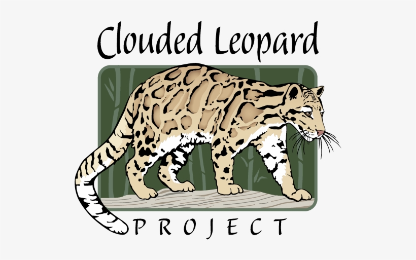 Clouded Leopard Project, transparent png