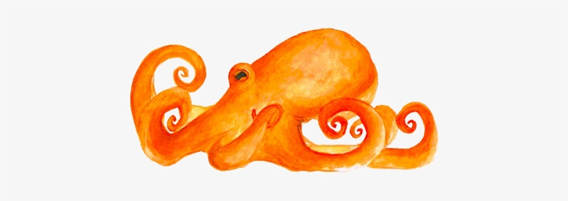 Transparent Octopus - Transparent Png Tumblr Orange, transparent png