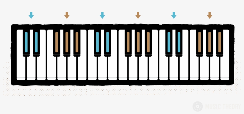 Groups Of 2 And 3 Black Keys Color-coded On A Piano - Piano Middle C Hand Position, transparent png