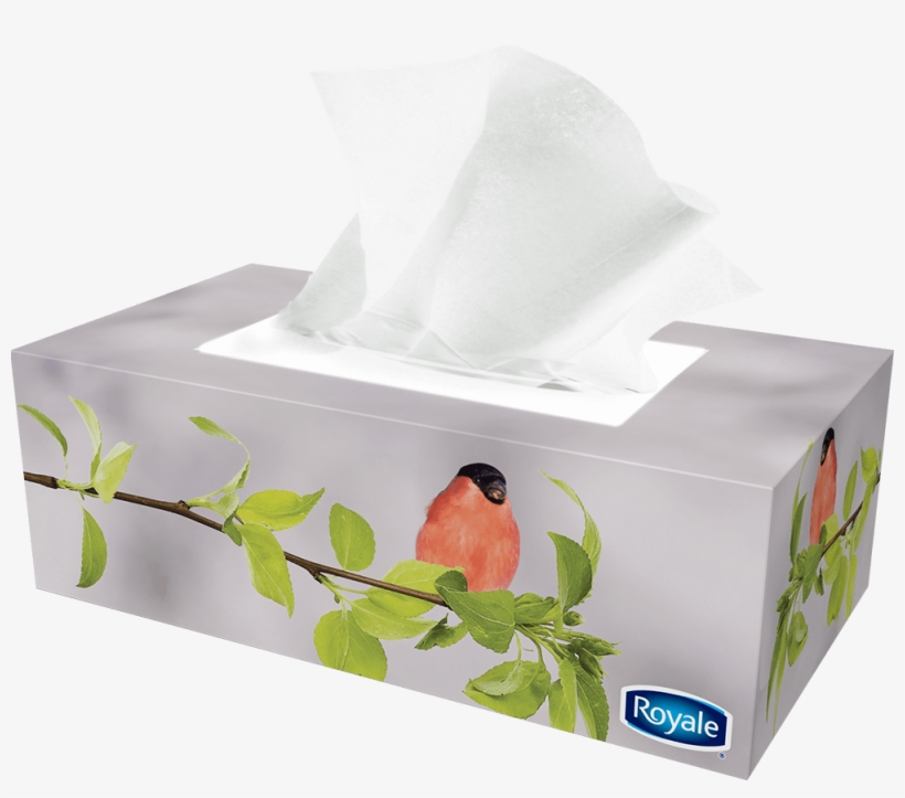 Previous - Next - Facial Tissue, transparent png