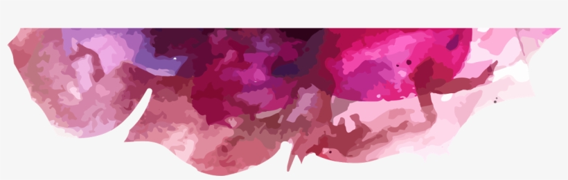 Ashleigh Hogan - Illustration, transparent png