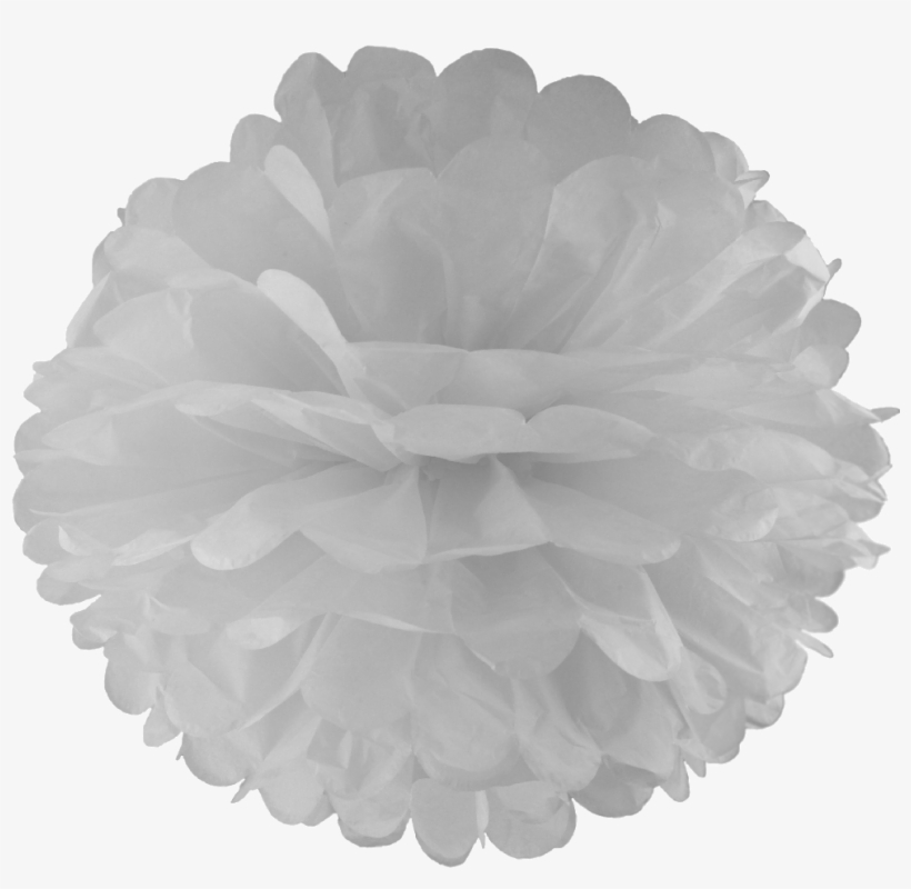 Large Inch Pom Box Of - White Pom Pom Png, transparent png