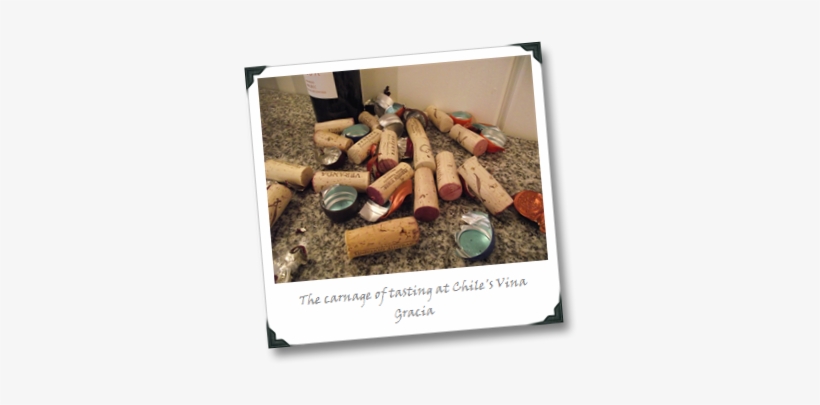 Carnage - Anne Geddes, transparent png