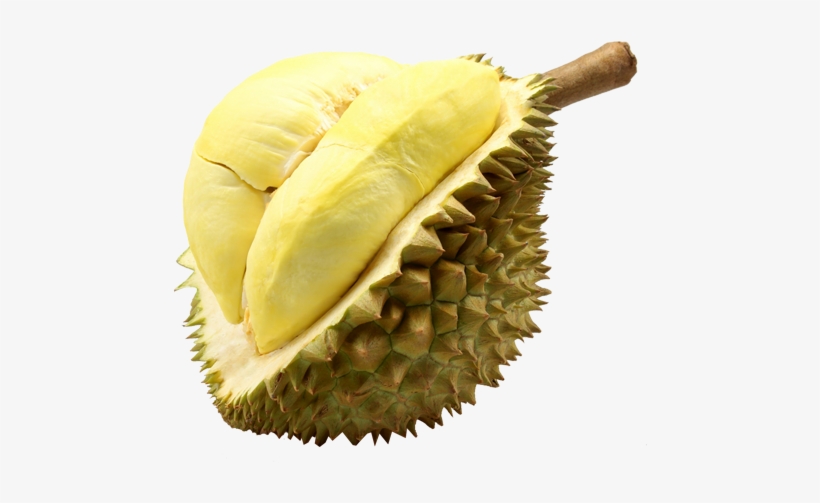 Durian Monthong Fruit Thailand - Thailand Durian, transparent png