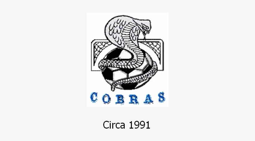 Cobras Logo 1991 - Logo, transparent png