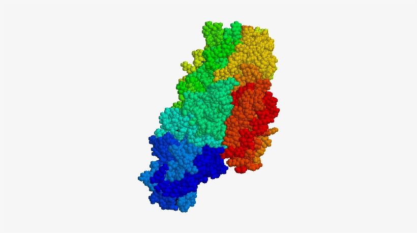 Tissue Transglutaminase - Gliadine Structure, transparent png