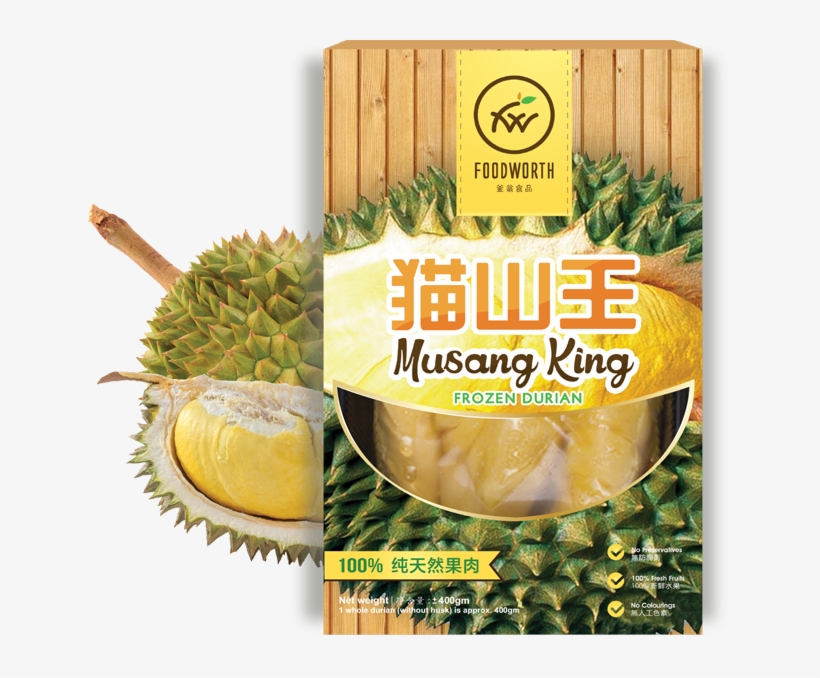 Cat, transparent png