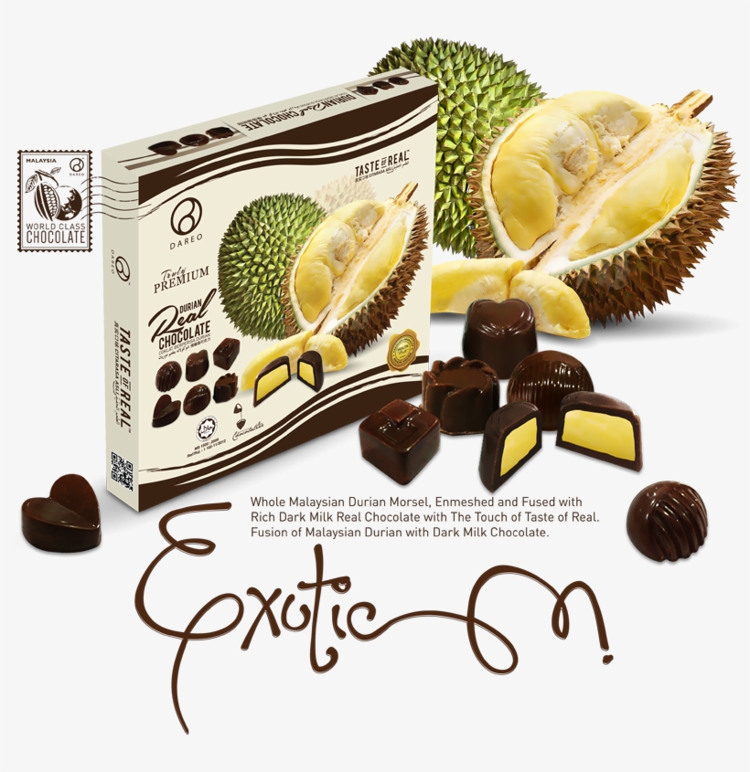 Durian Real Chocolate - Thai Eggplant Solanum Xanthocarpum, Ma Khua Khun,, transparent png