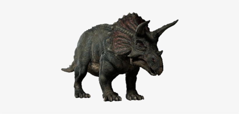 Triceratop Png Image - Triceratops, transparent png