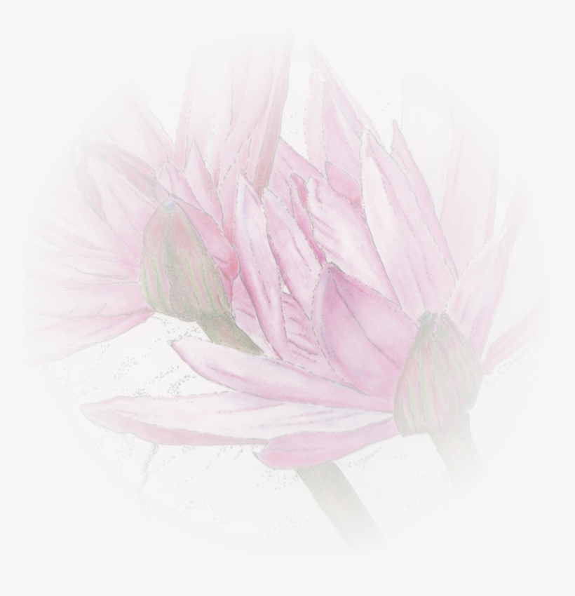 A Gentle, Hands-on And Deeply Relaxing Therapy That, transparent png