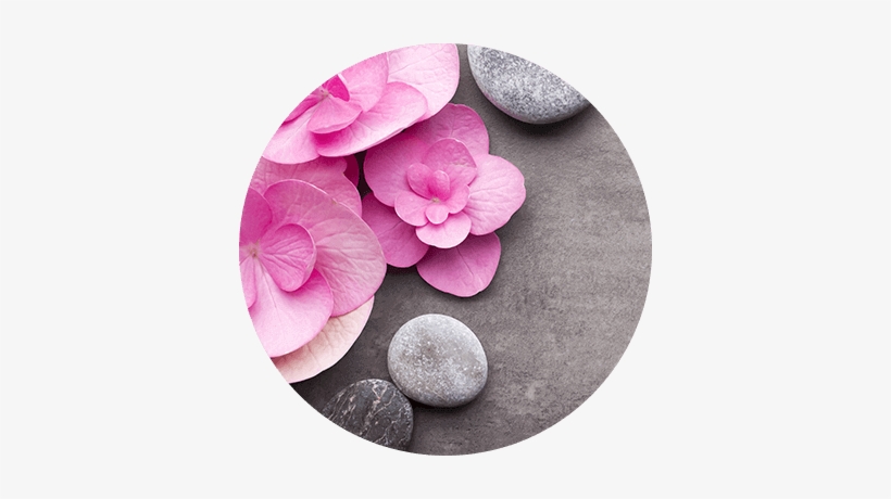 Alpamare Spa Homepage Alpamare Homepage - Spa And Beauty Party, transparent png