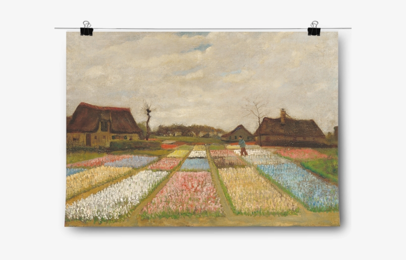 Vincent Van Gogh - Tulip Fields Van Gogh, transparent png