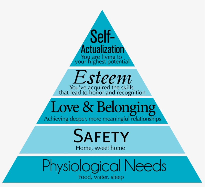 The Term “continuum Of Care” Comes From The Health, transparent png