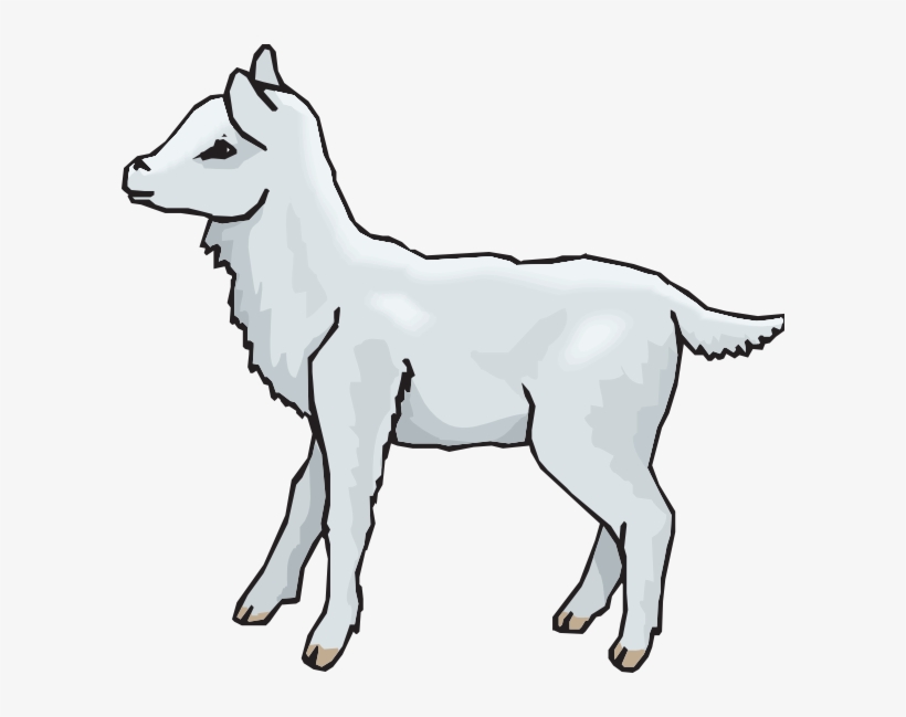 How To Set Use Lamb Standing Icon Png, transparent png
