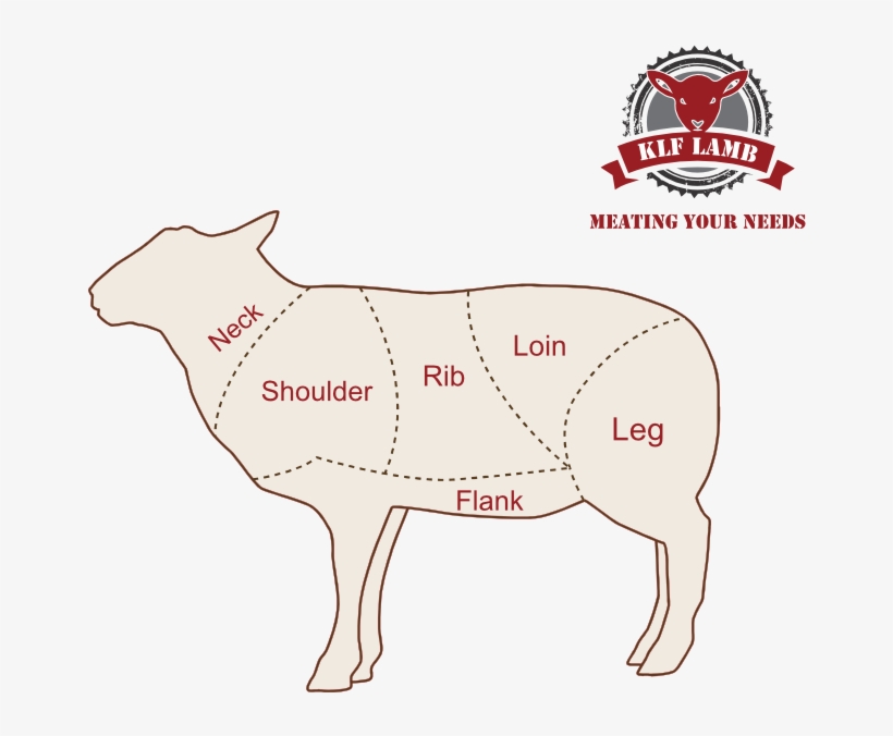 The Final Weight Of The Carcass Will, Therefore, Be, transparent png