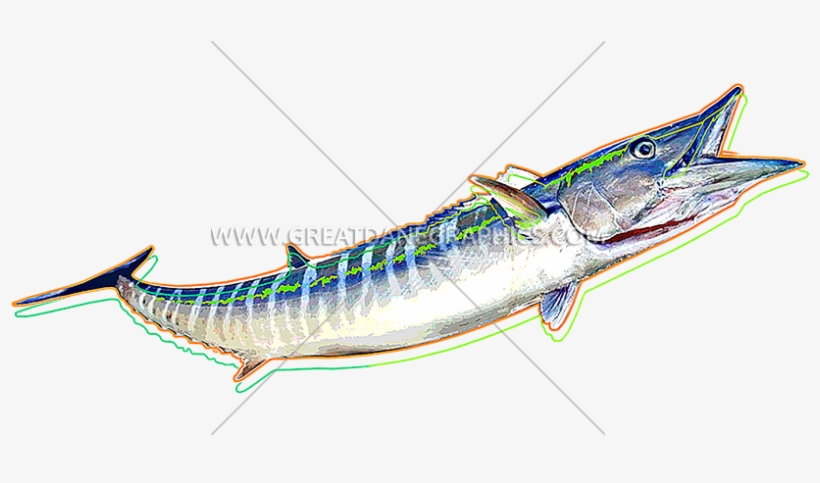 Funky Wahoo, transparent png