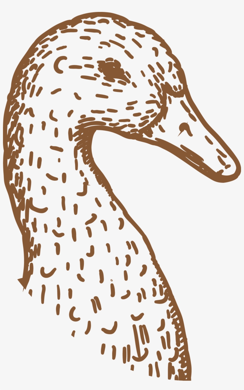 Magret De Pato, transparent png