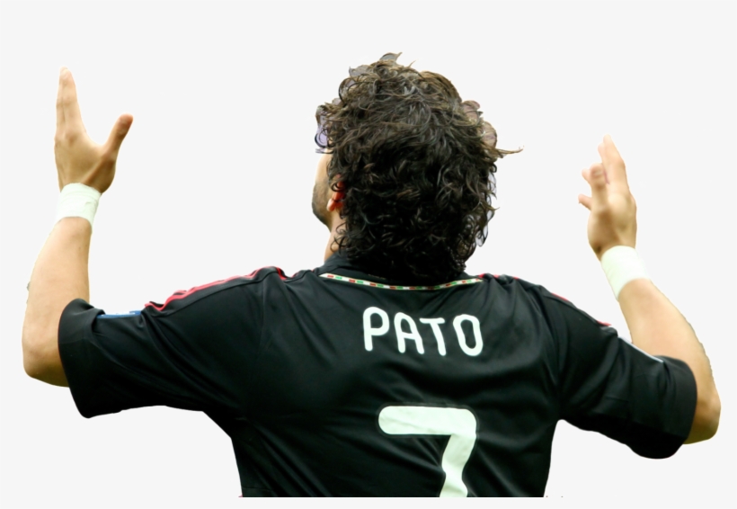 Pato Png, transparent png