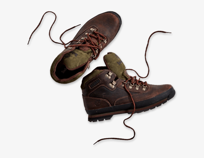 Find Your Floor Or View Divergence Oak, transparent png