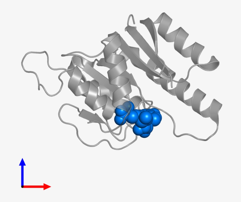 <div Class='caption-body'>pdb Entry 2nyu Contains 1, transparent png