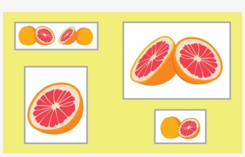 Visual Dictionary Artboard, transparent png