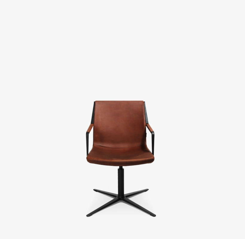 Wgn Logo Png, transparent png