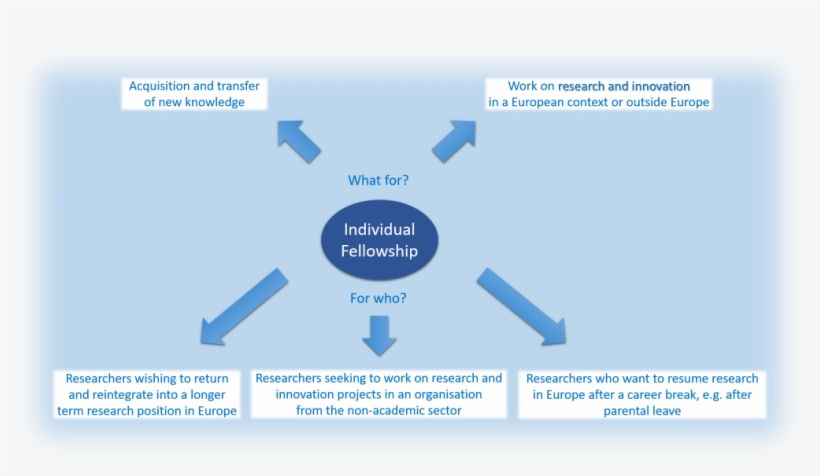 Support Is Foreseen For Individual, Trans-national, transparent png