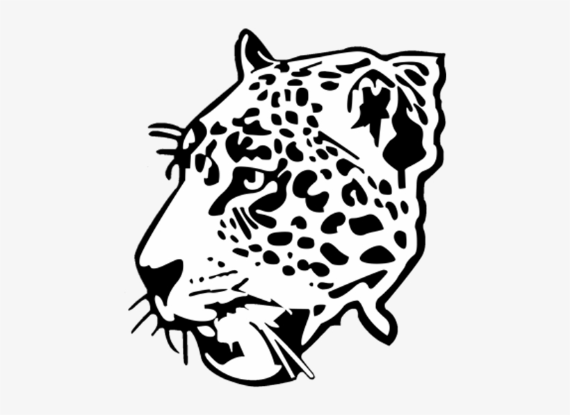 Jaguars Png, transparent png