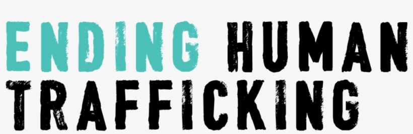Logo, transparent png