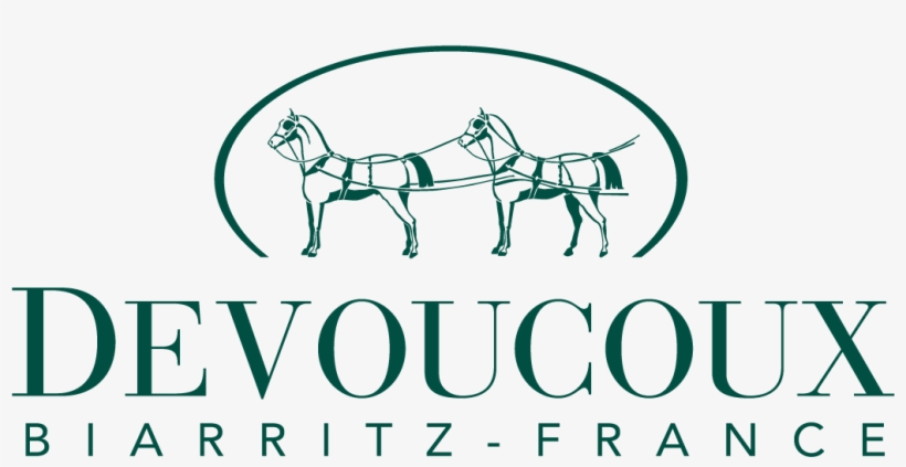 Made To Measure Saddles, Second Hand Saddles And Accessories, transparent png