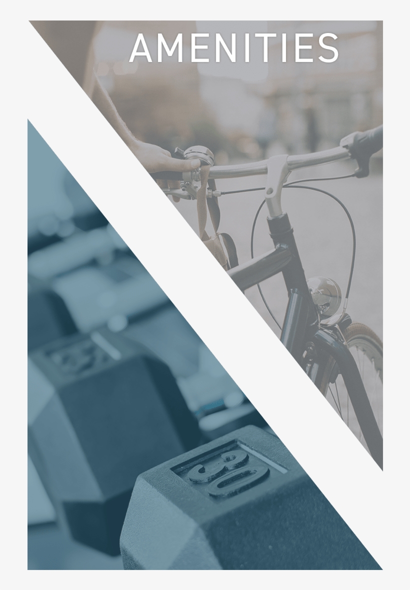 View The Amenities At Nelson Kohl Apartments In Baltimore,, transparent png